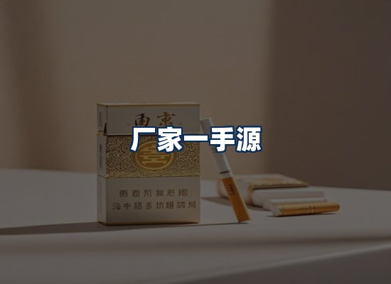 专业团队办公环境